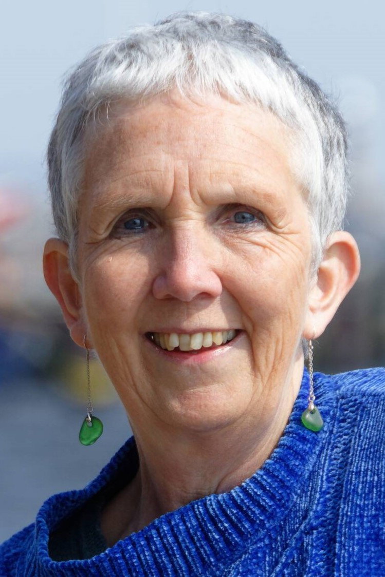 Ann Cleeves's poster