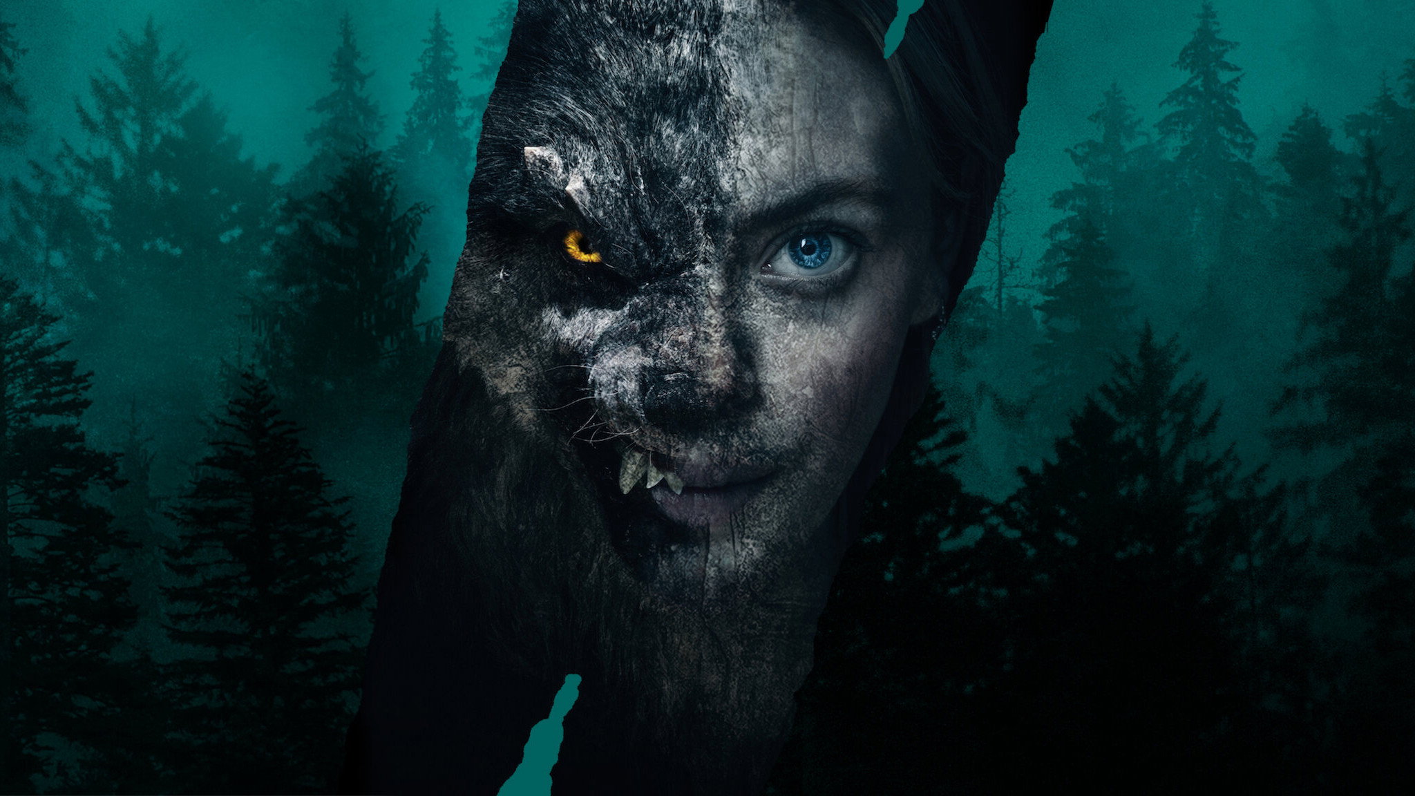 Viking Wolf's poster