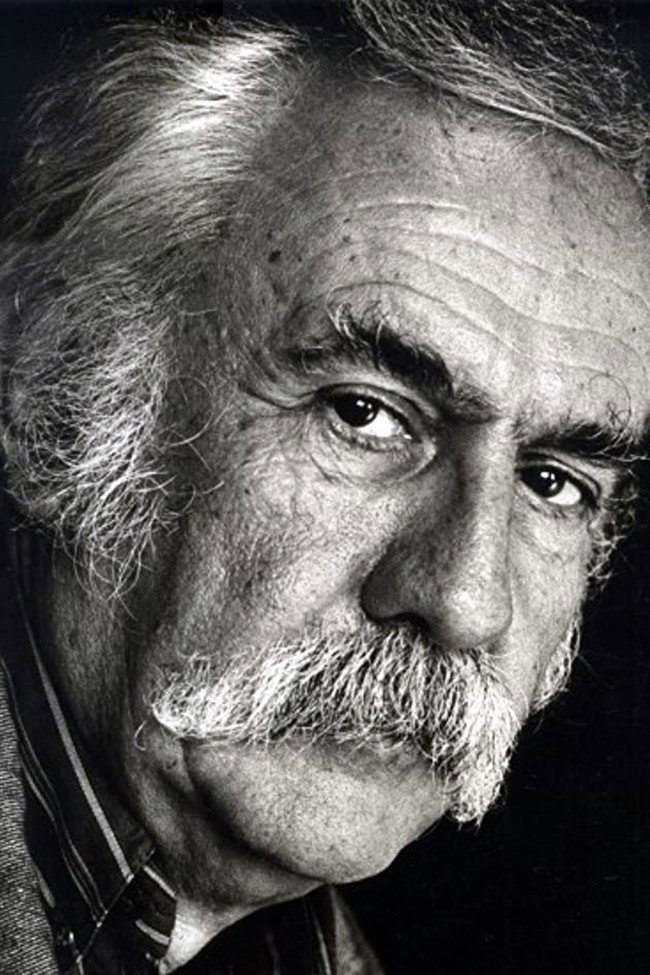 Živojin Pavlović's poster