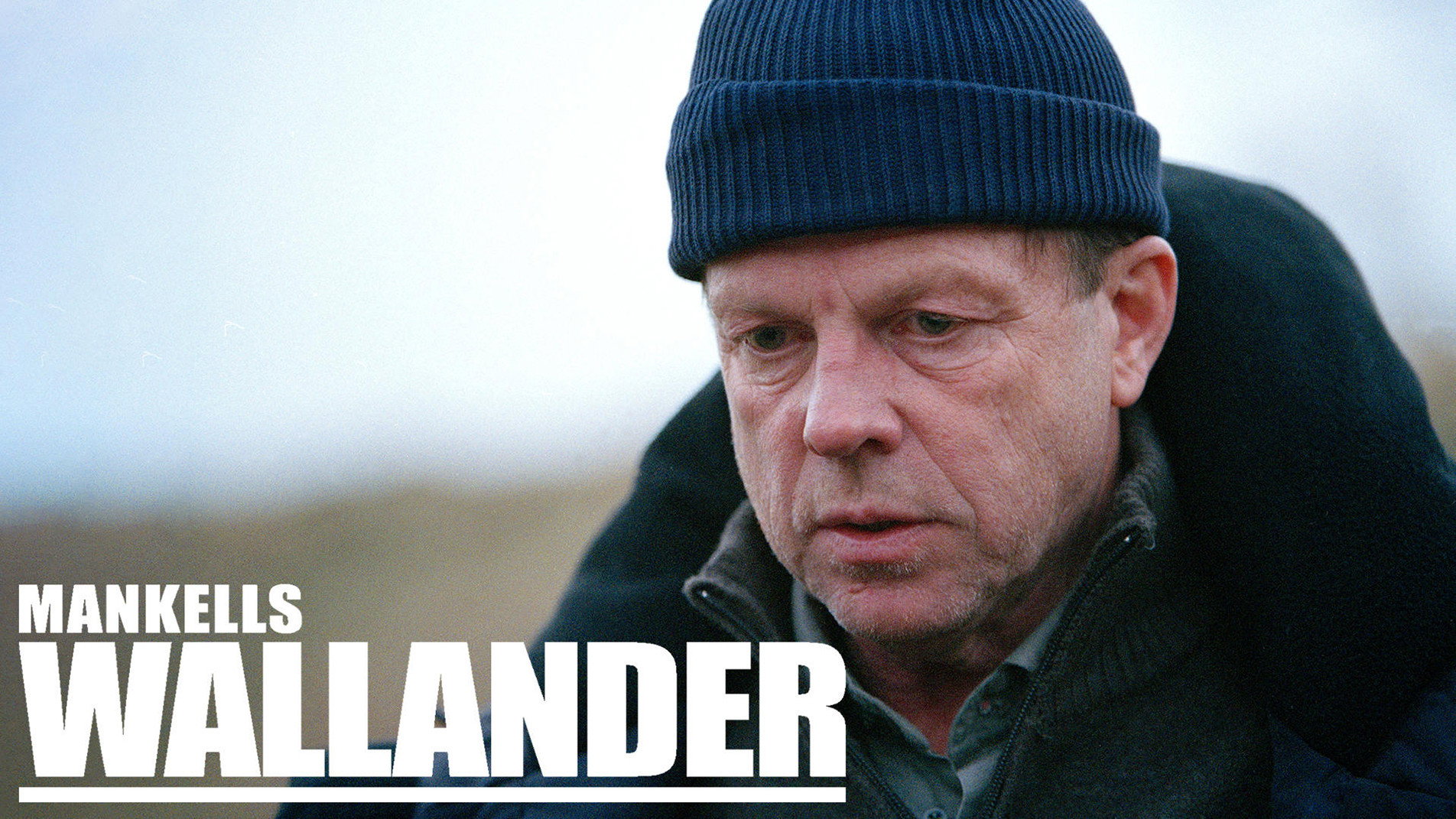 Wallander's poster