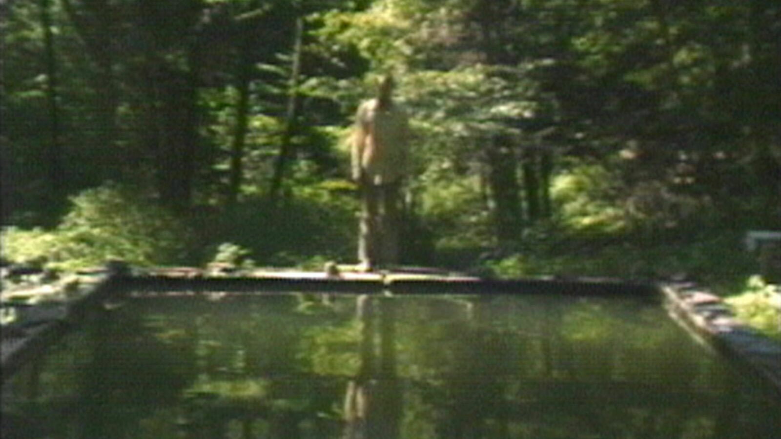 The Reflecting Pool's poster