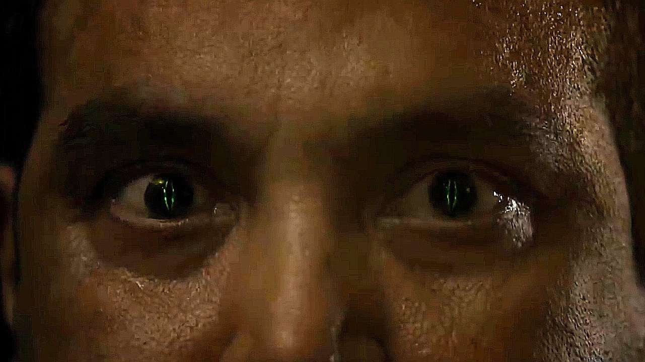 The Snake's poster
