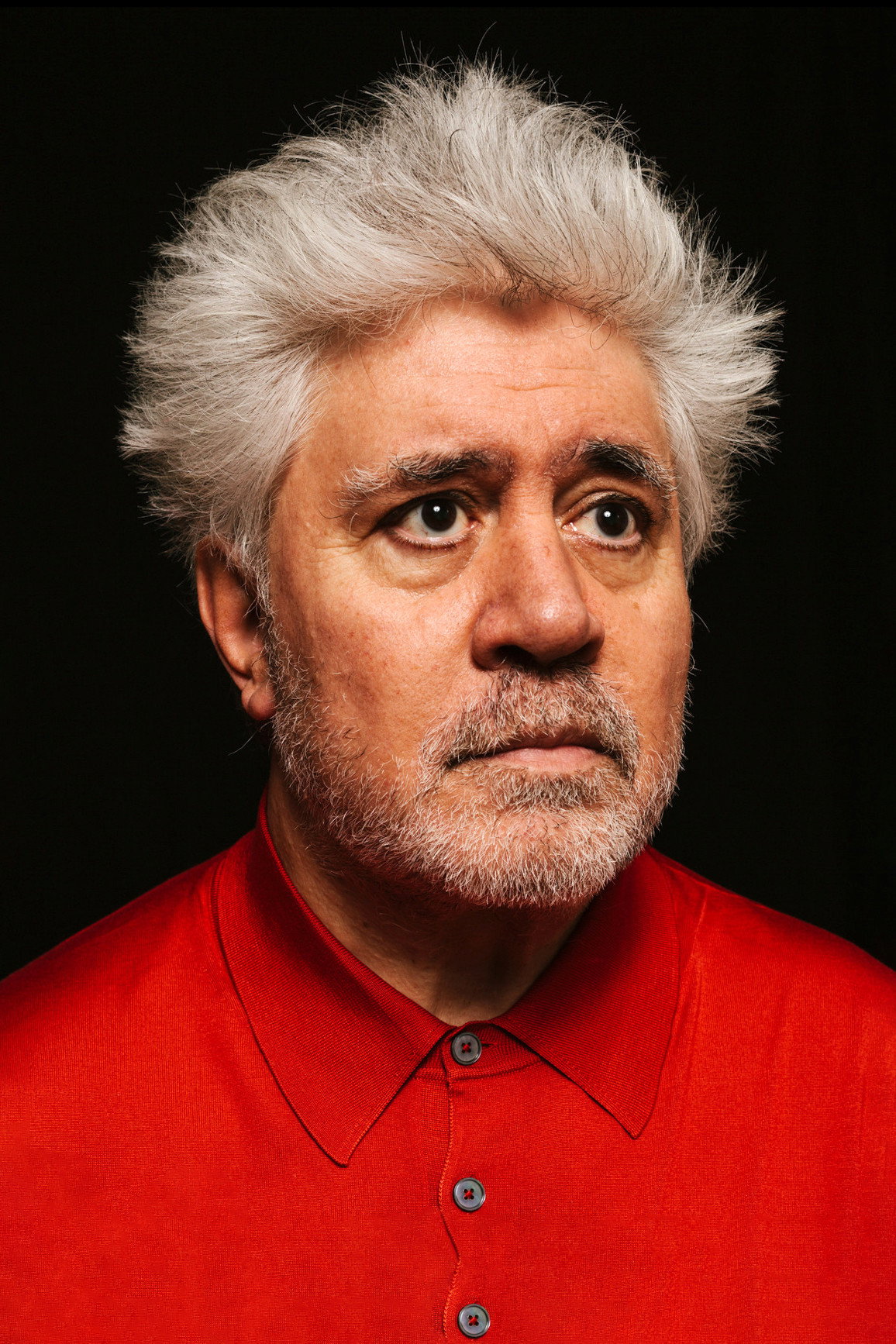 Pedro Almodóvar's poster