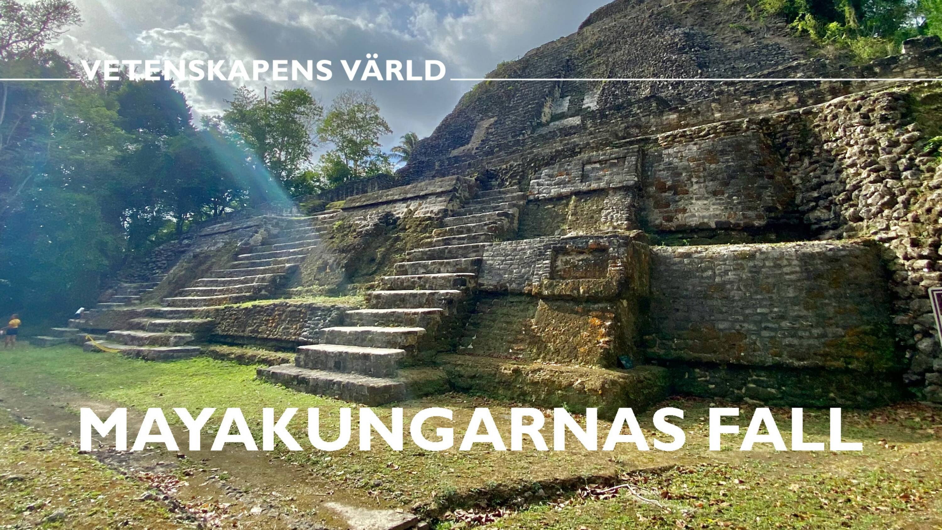 Mayakungarnas fall's poster