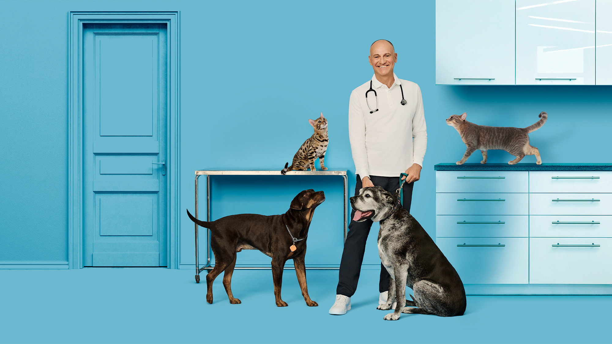 Vie de vet's poster