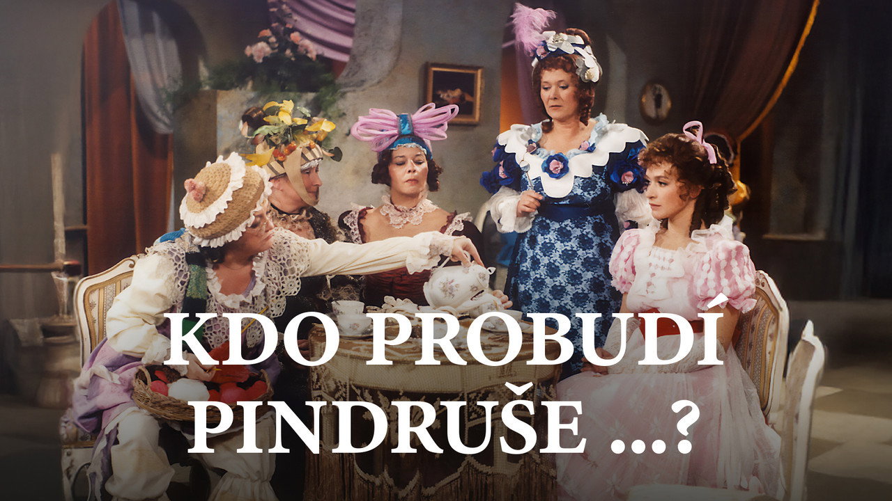 Kdo probudí Pindruše...?'s poster
