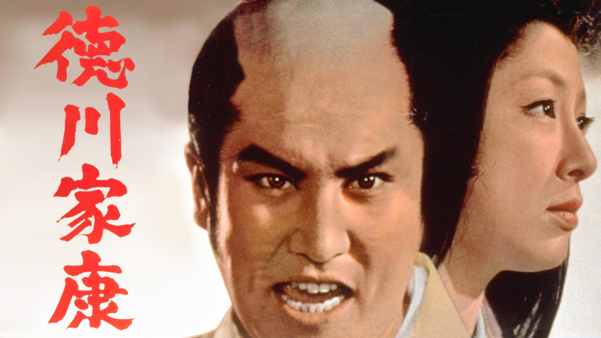 Lord Tokugawa Ieyasu's poster