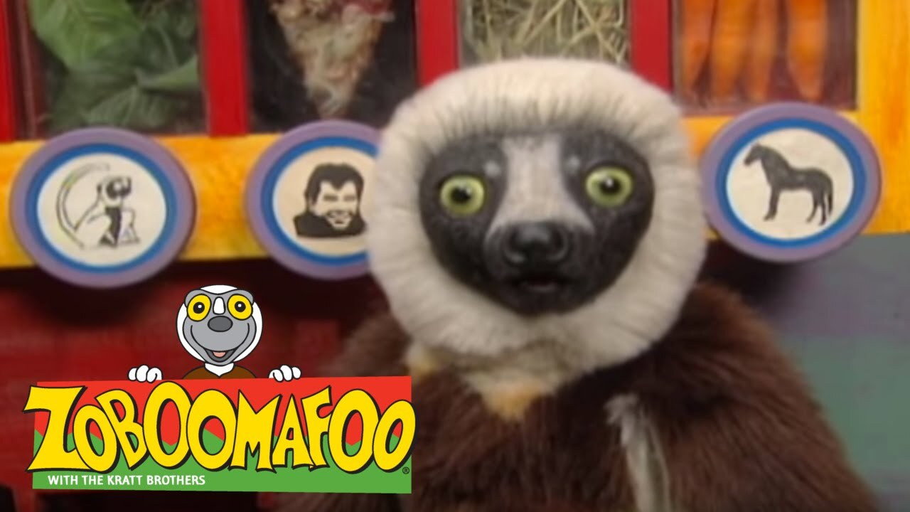 Zoboomafoo's poster