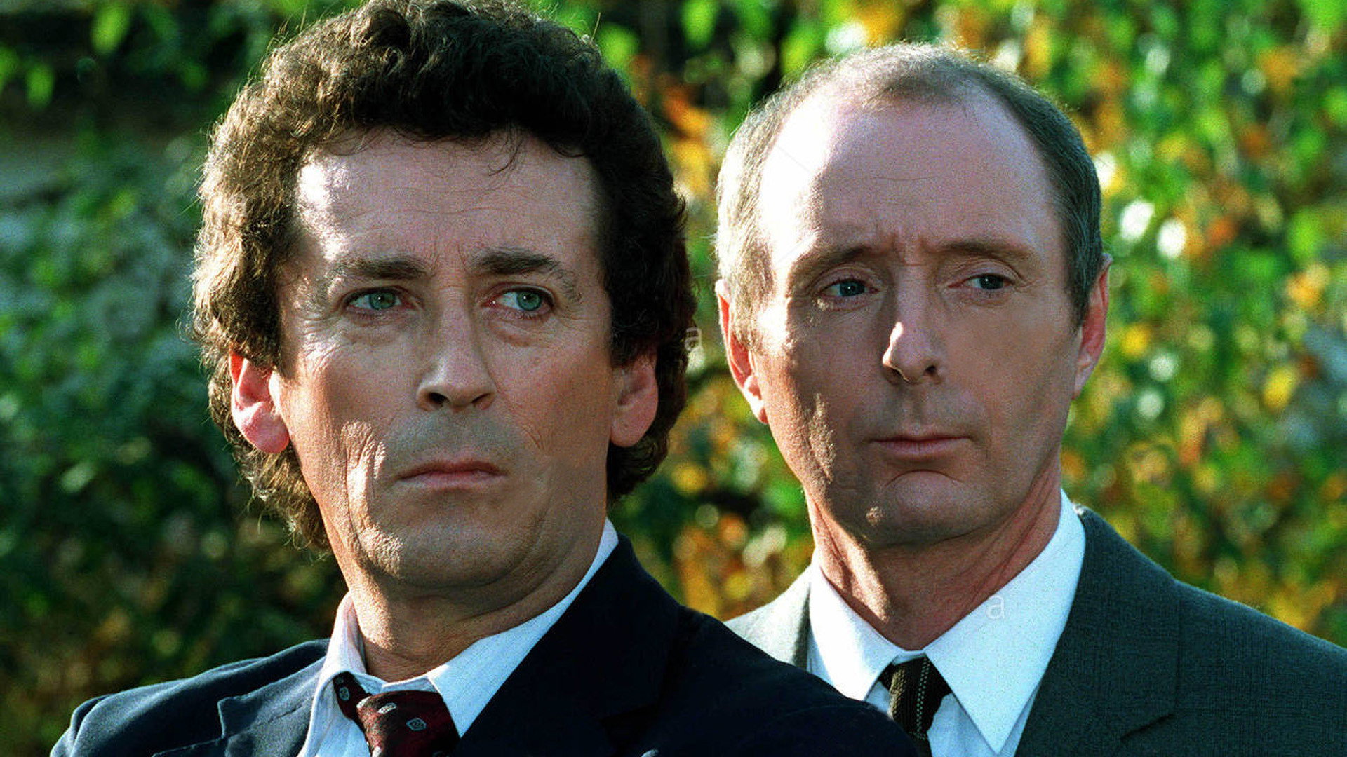 The Detectives's poster