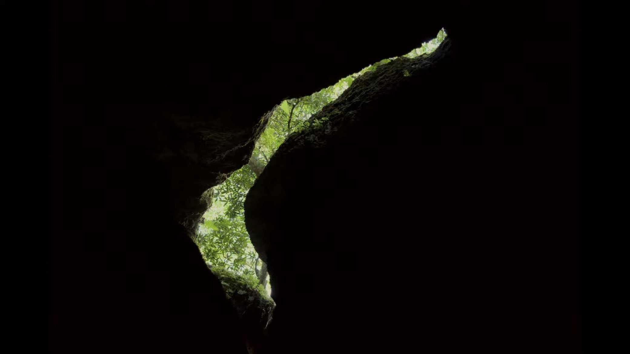Onírico's poster