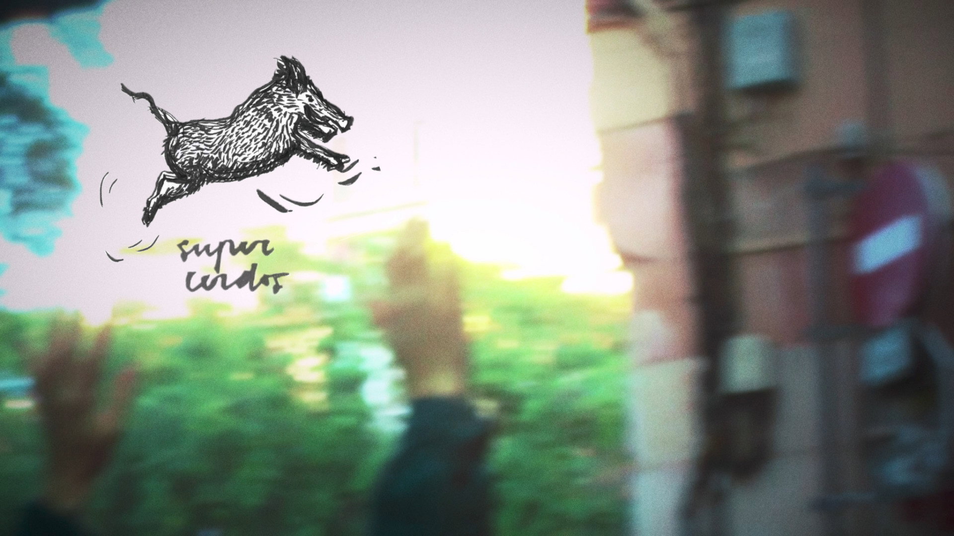 SUPERPIGS's poster