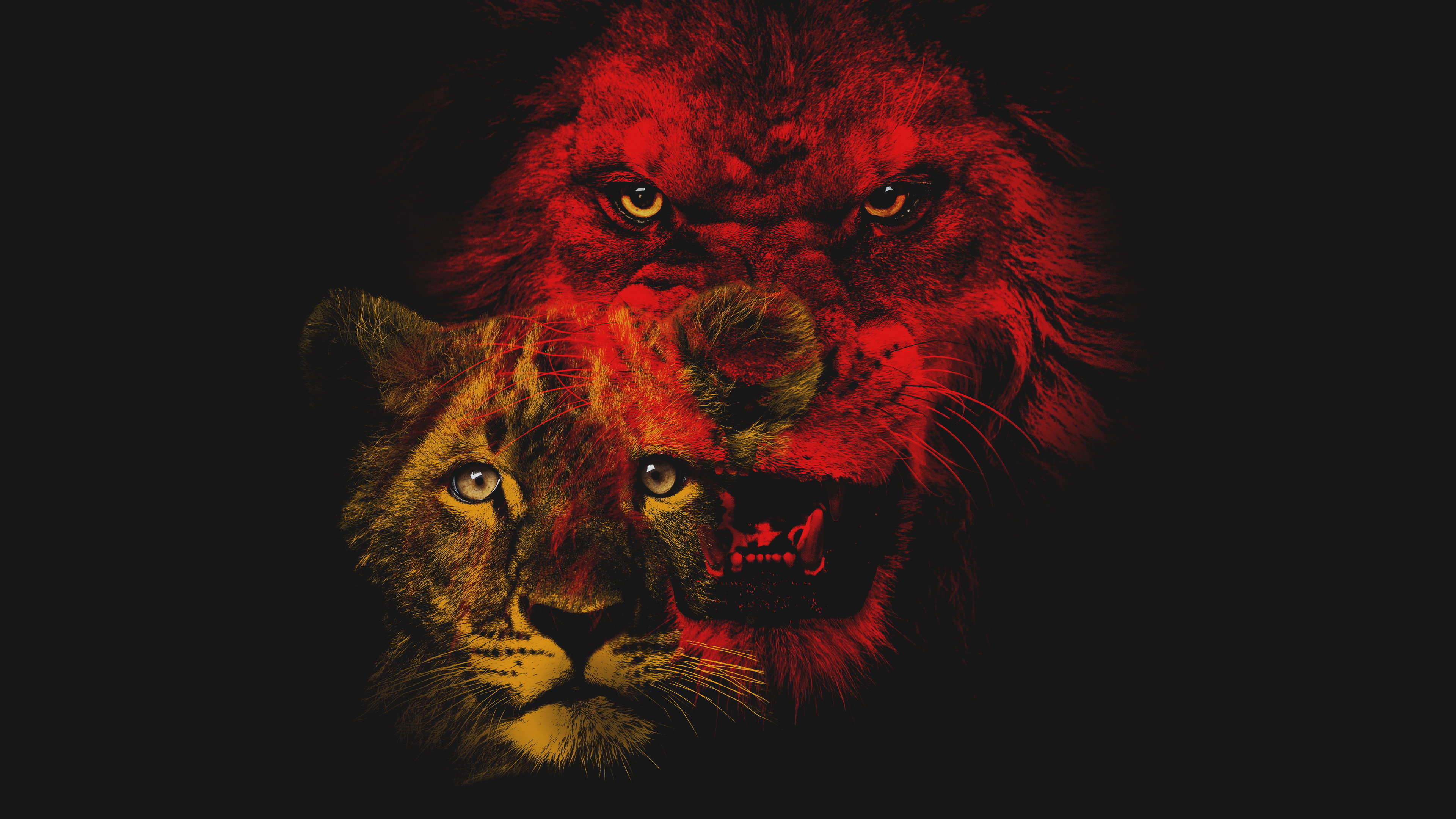 Savage Kingdom's poster