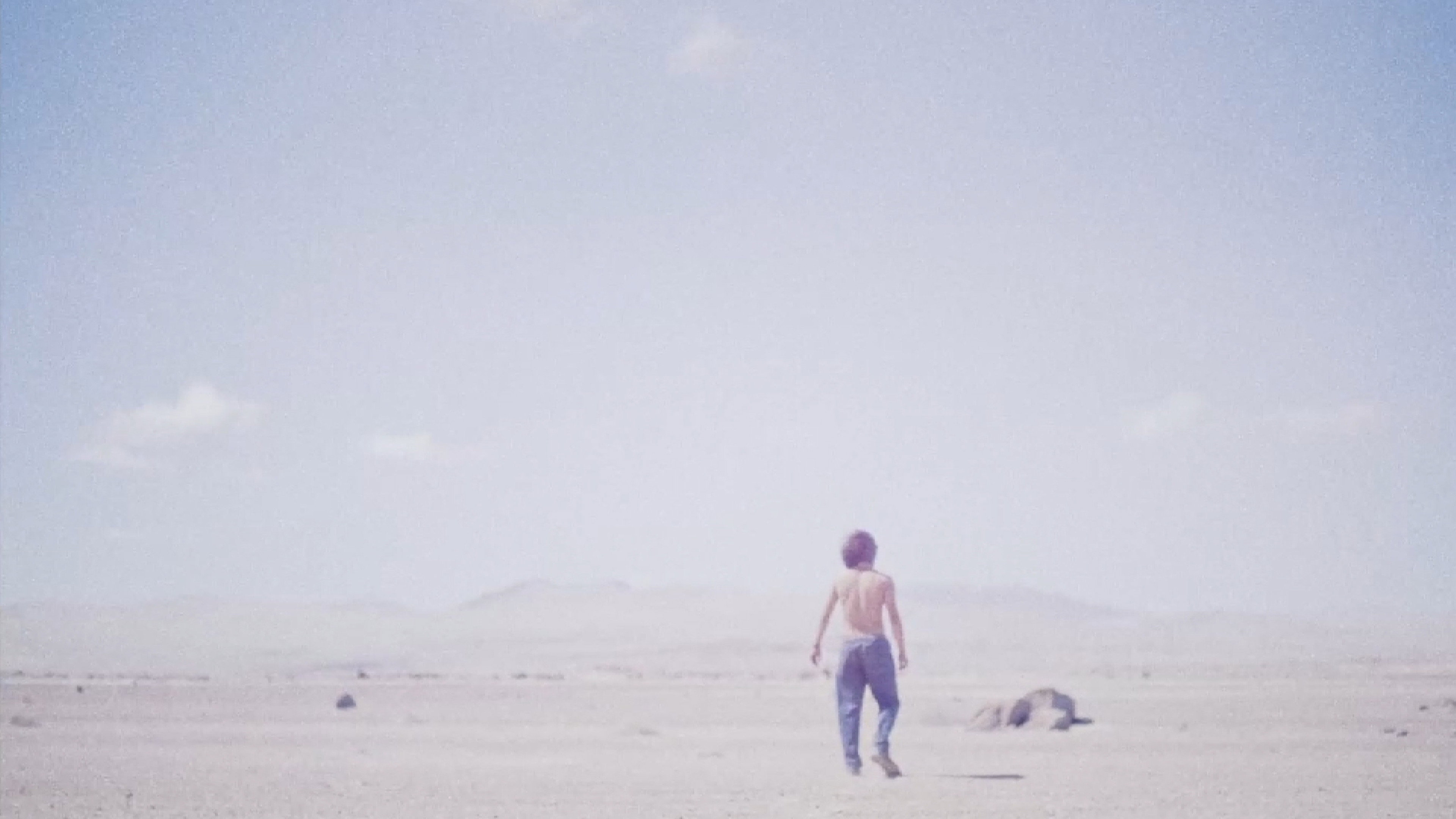 Desierto's poster