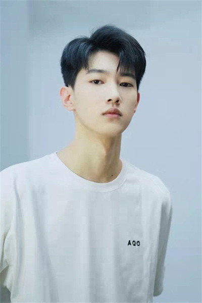 Wu Jiakai's poster
