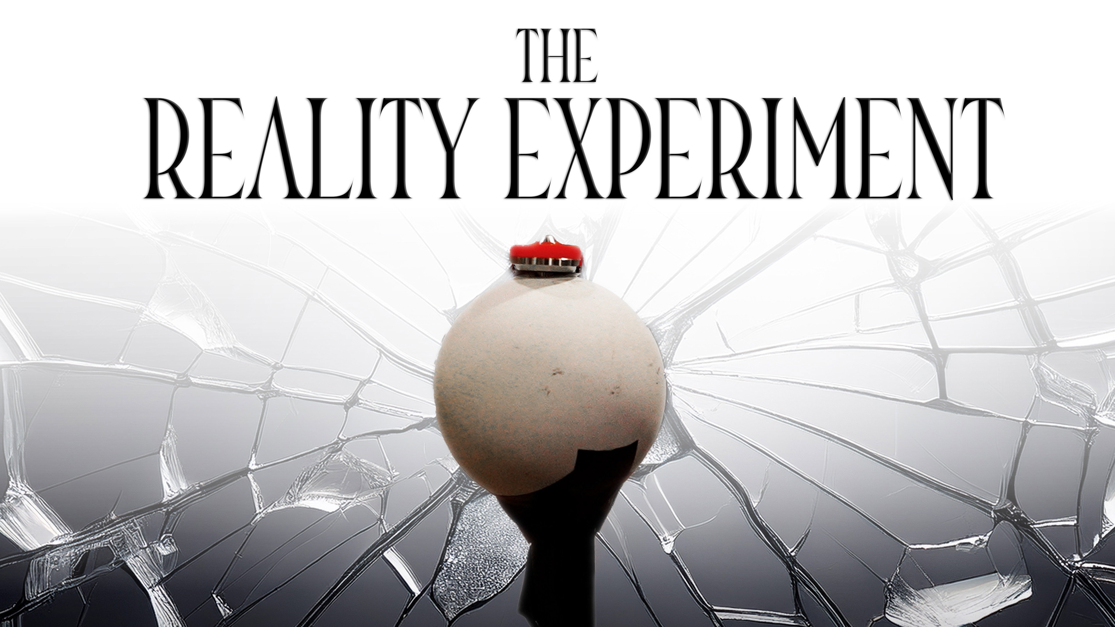The Reality Experiment's poster