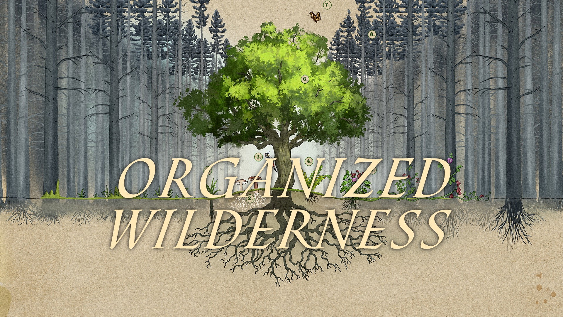 Organized Wilderness's poster