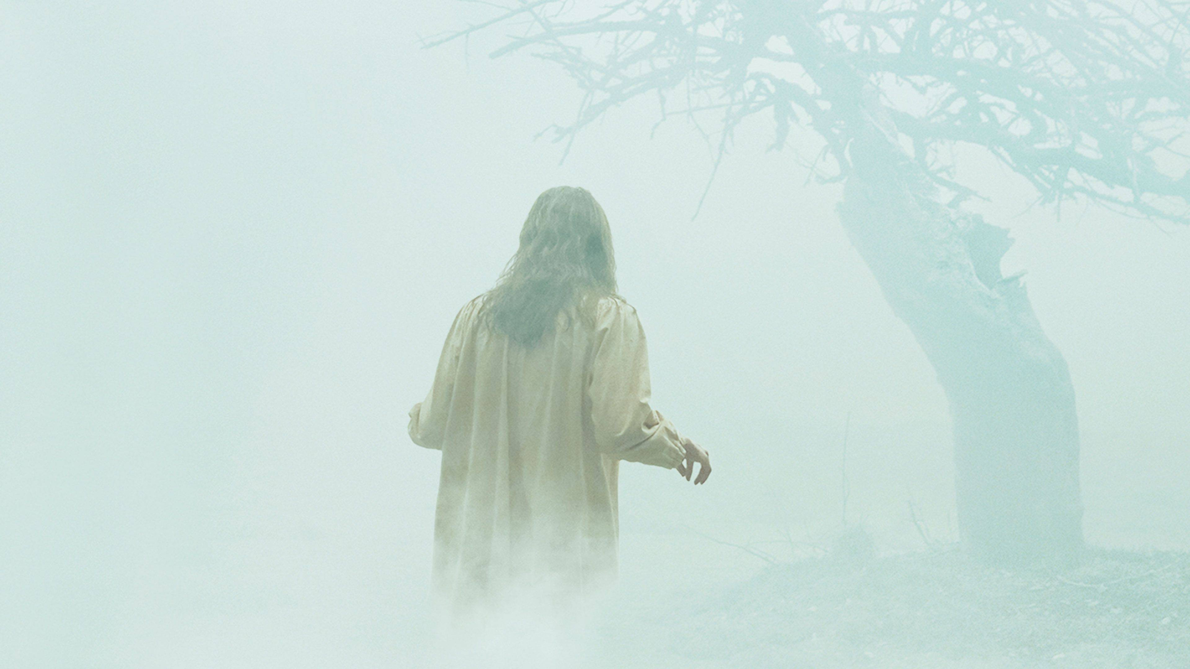 The Exorcism of Emily Rose's poster