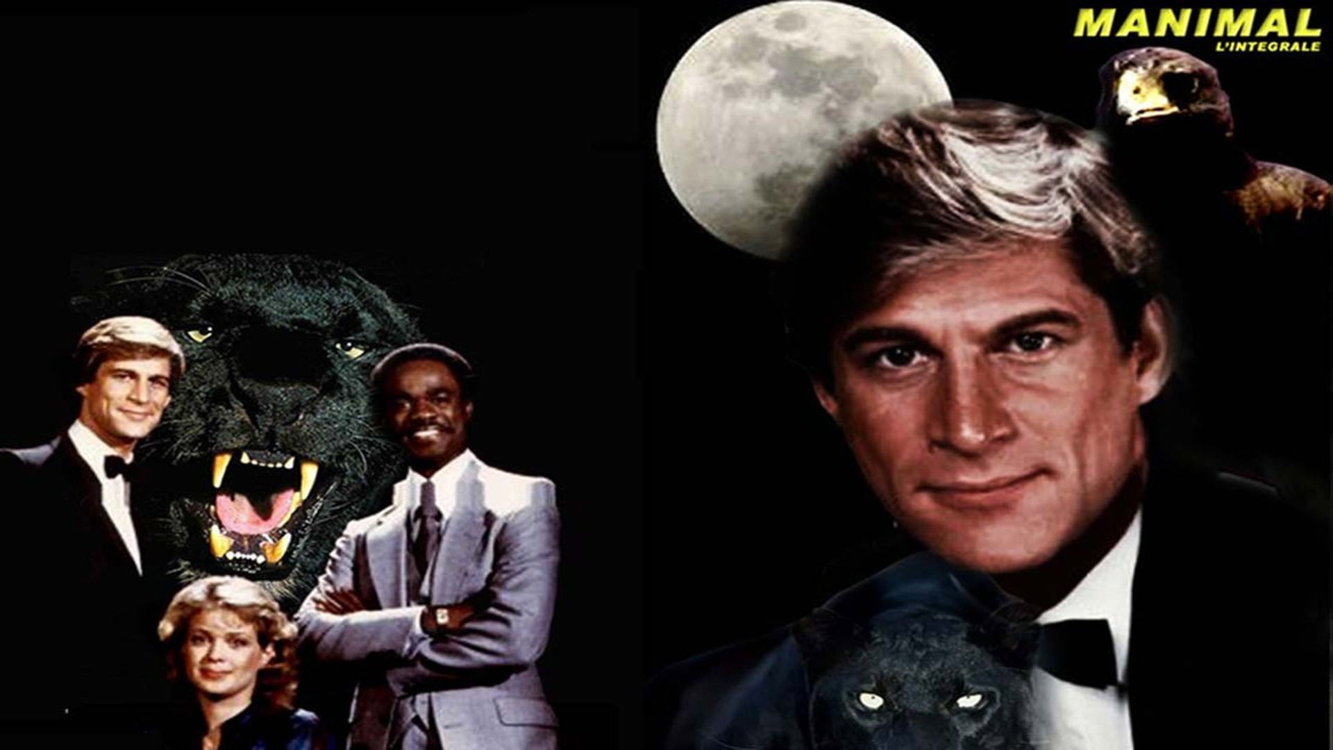 Manimal's poster