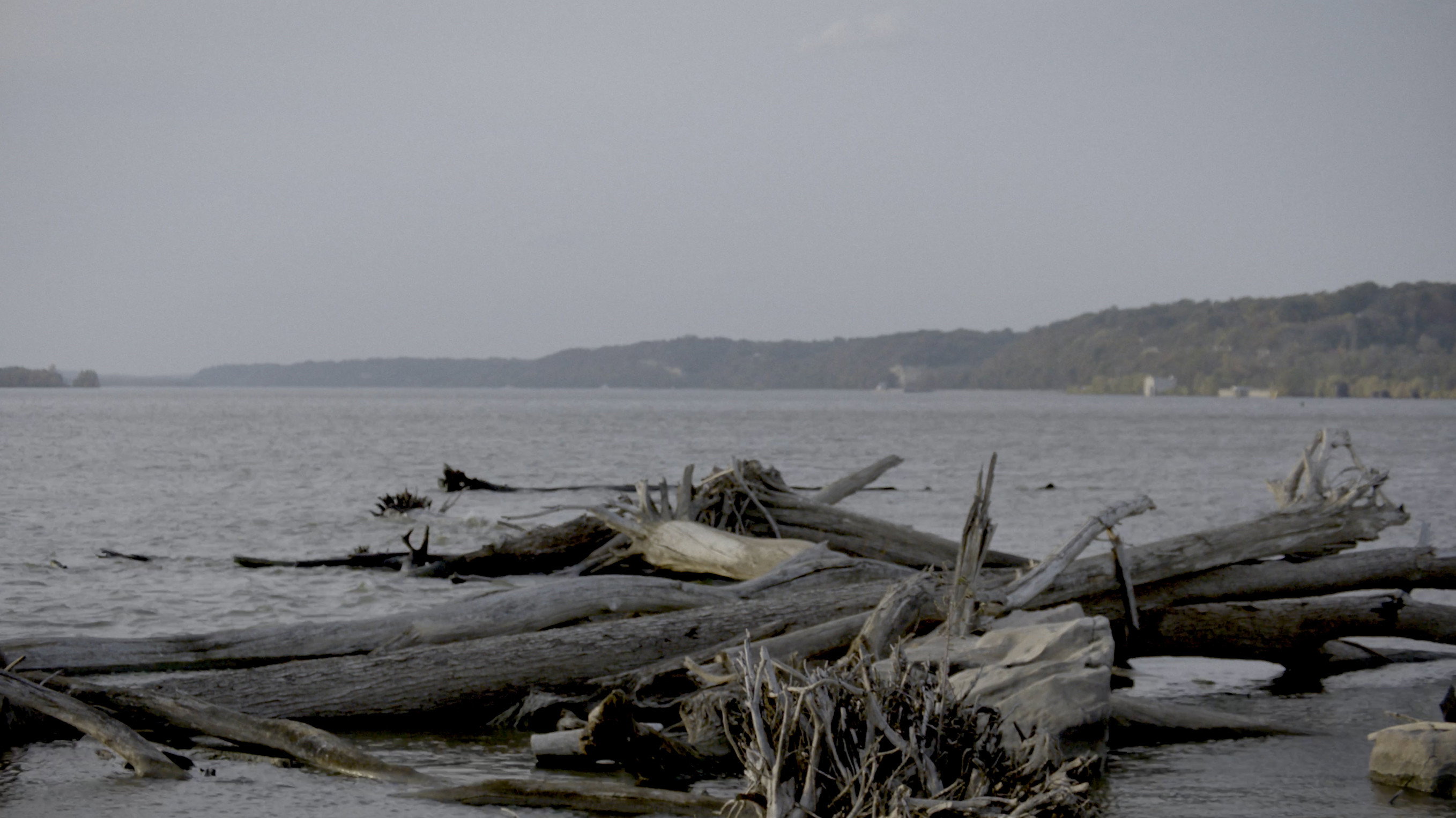 Smallpox Island's poster