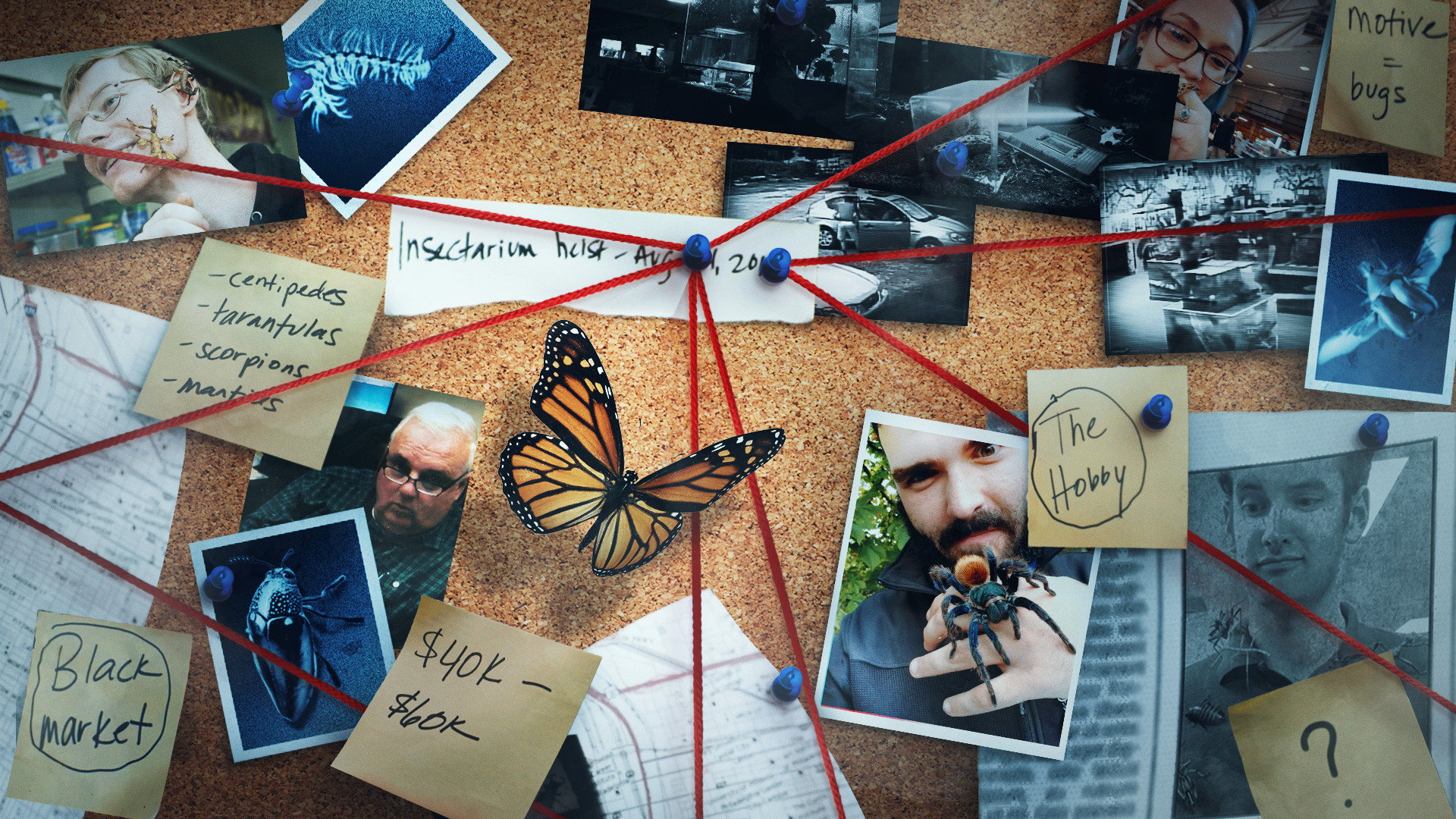 Bug Out's poster