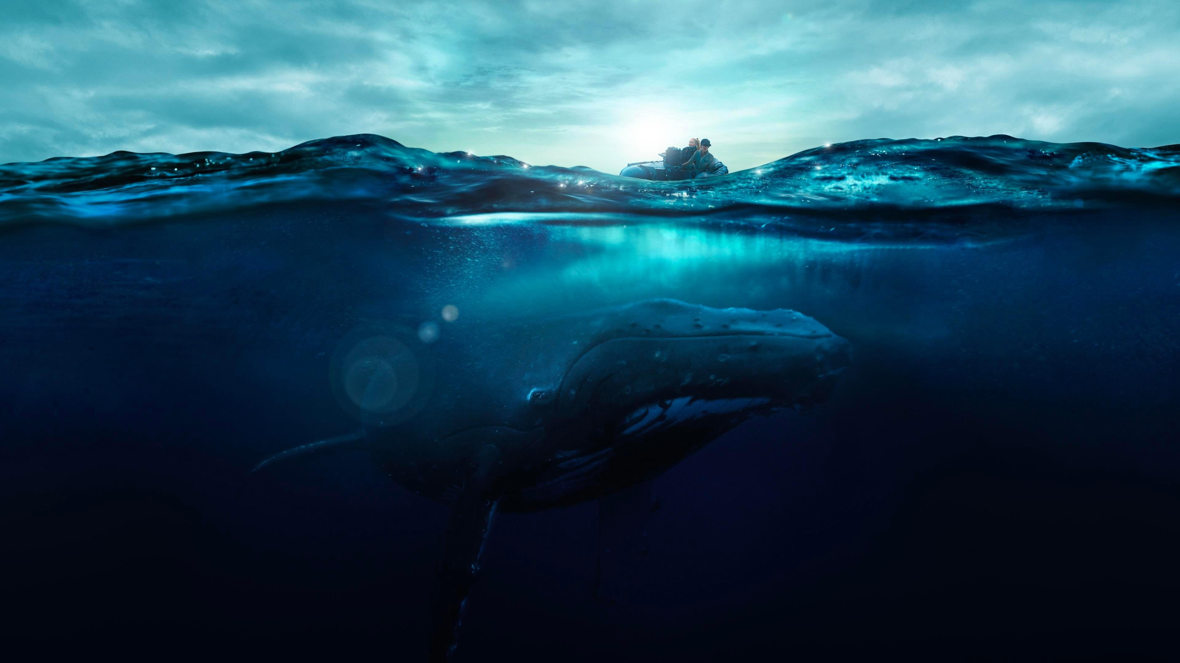 Fathom's poster