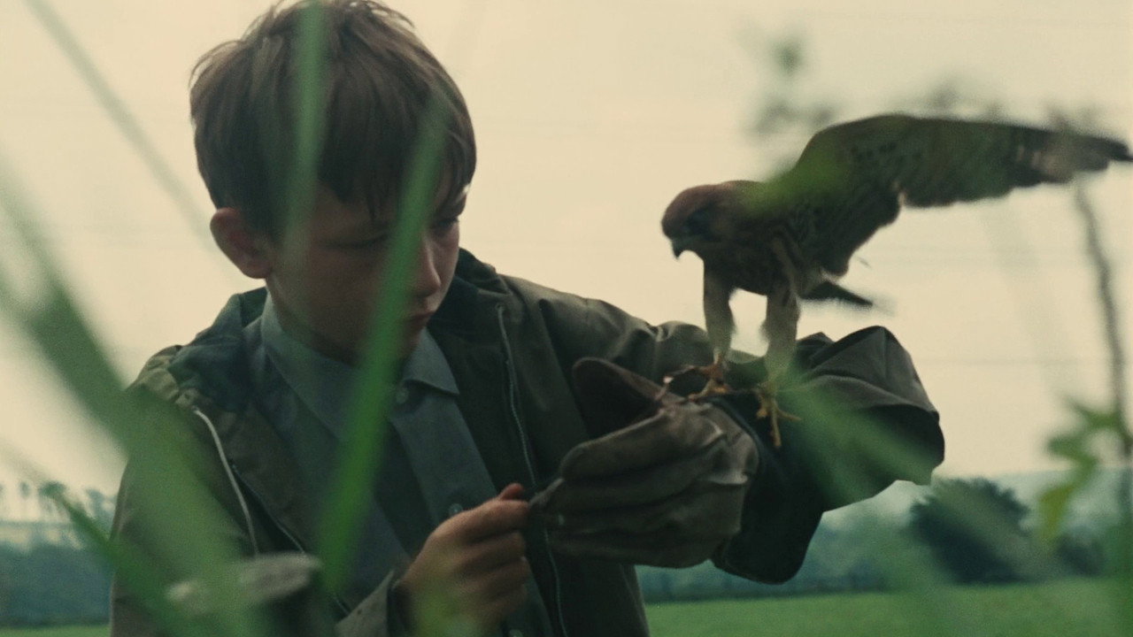 Kes's poster