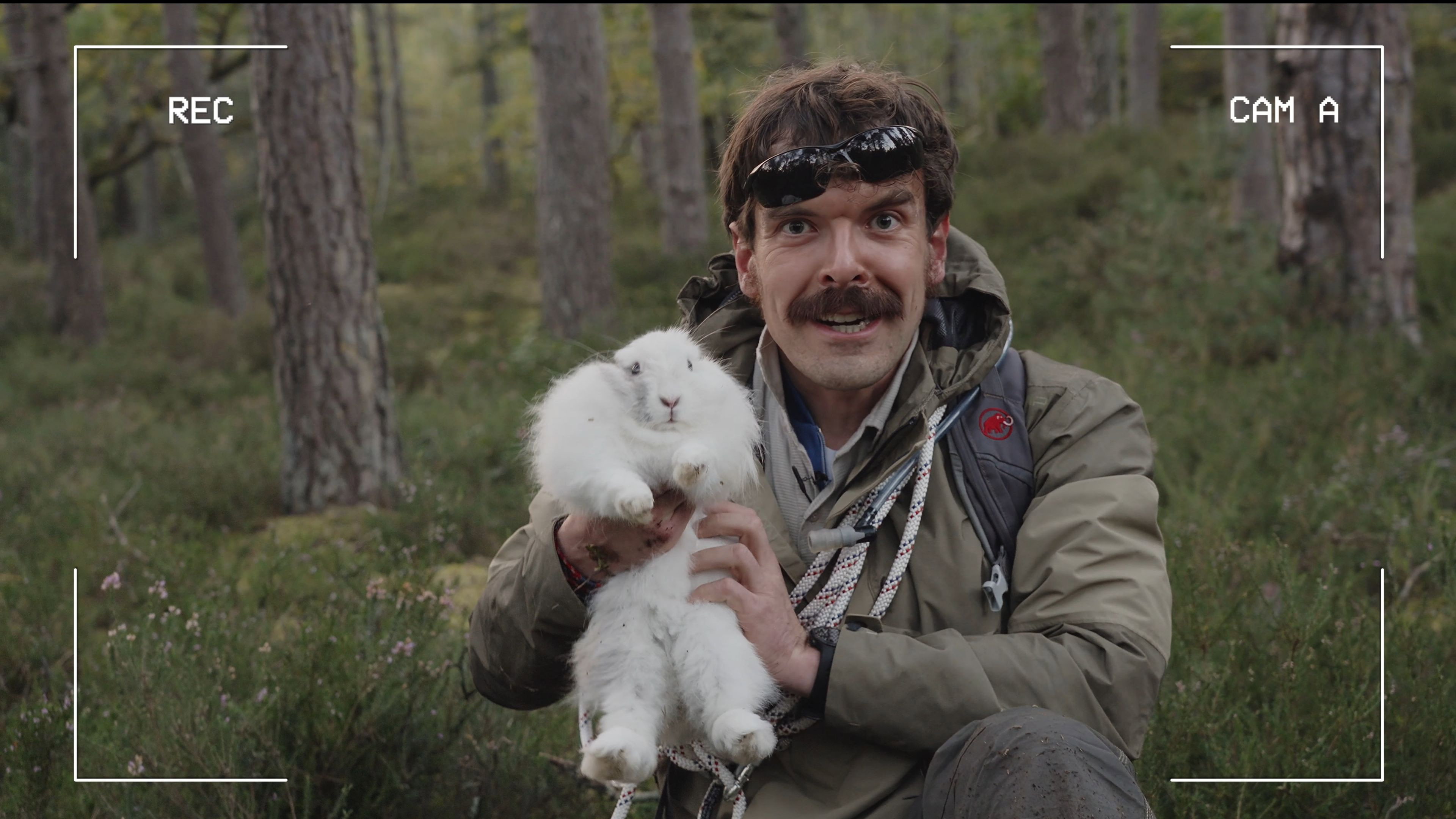 Midwild's poster