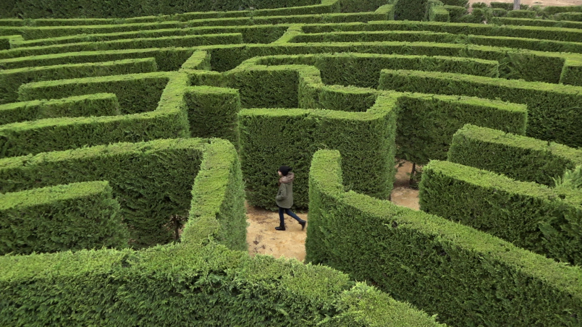 Labyrinths's poster
