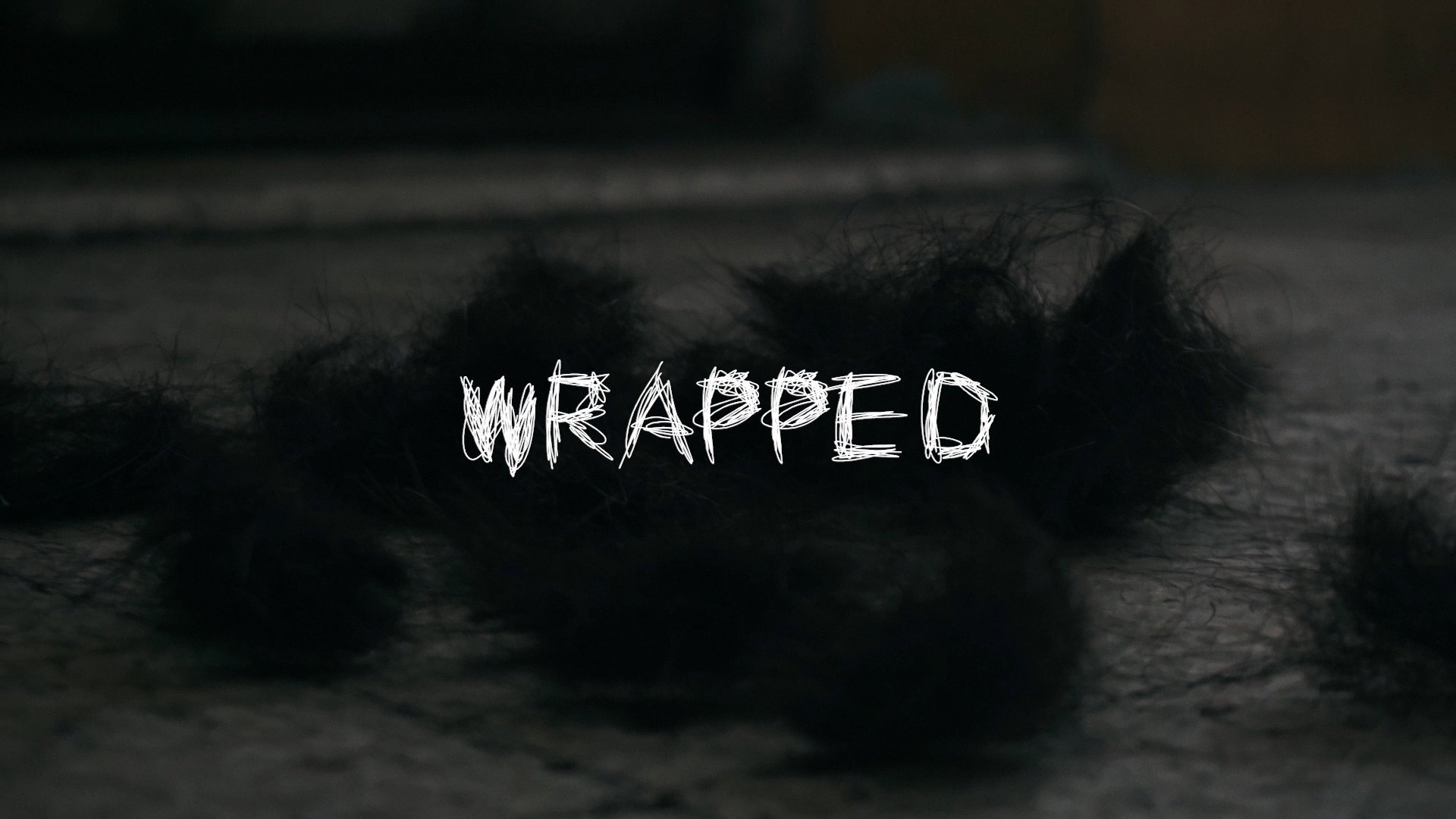 WRAPPED's poster