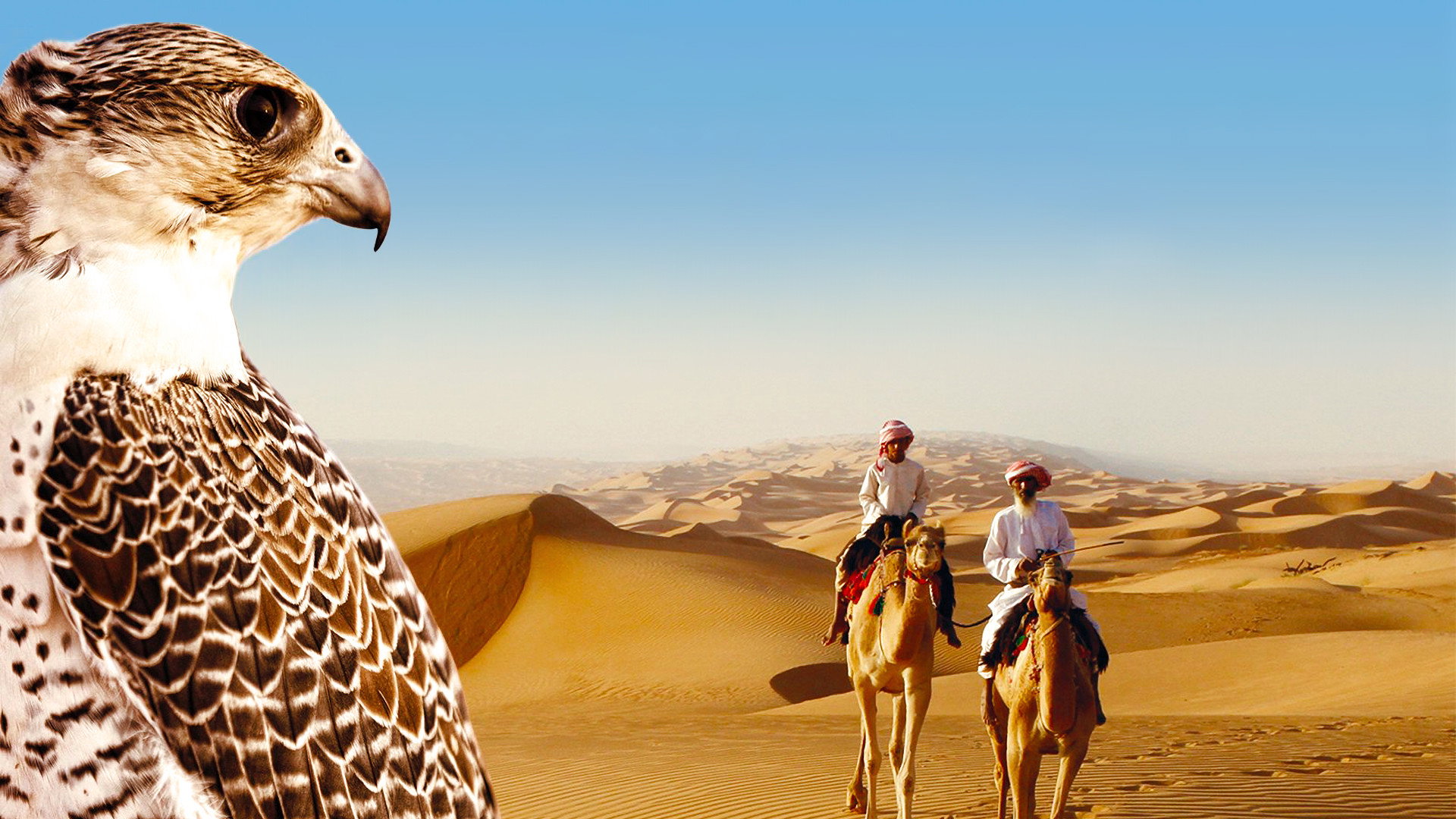 Wild Arabia's poster