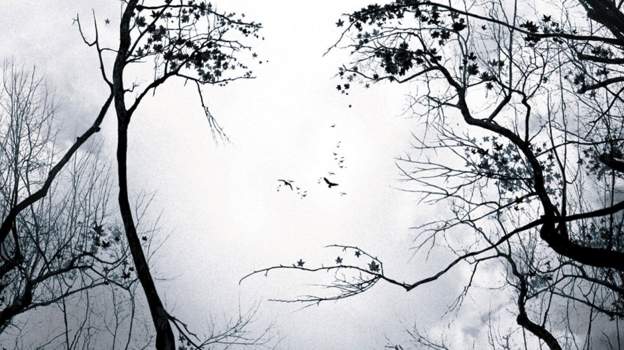 Premonition's poster