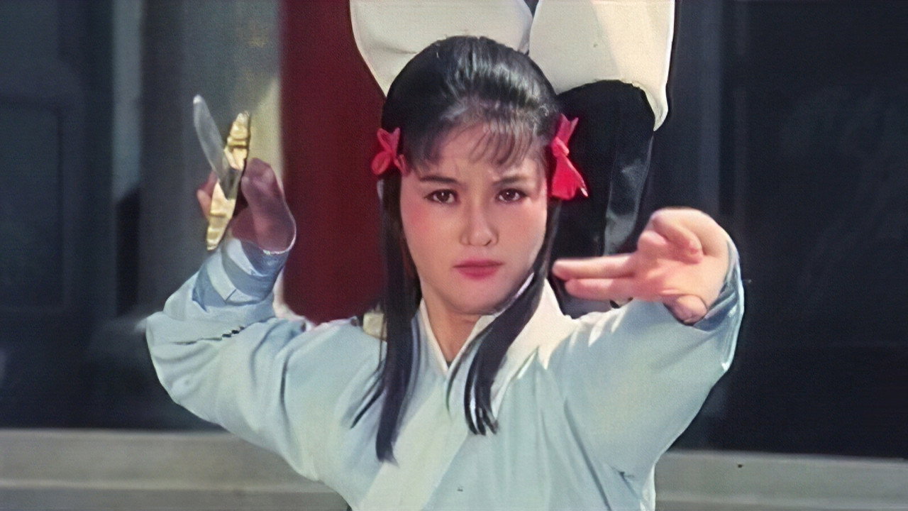 Shaolin Invincibles's poster