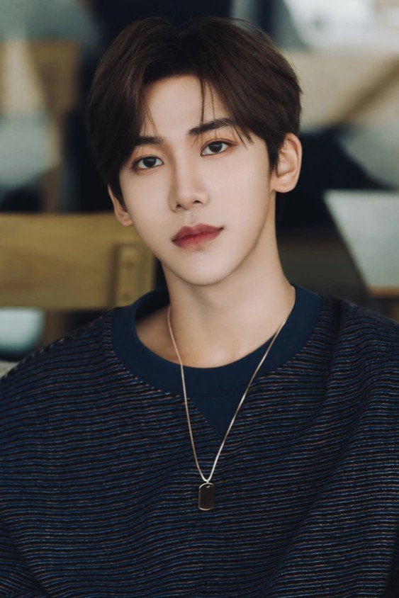 Ding Zeren's poster