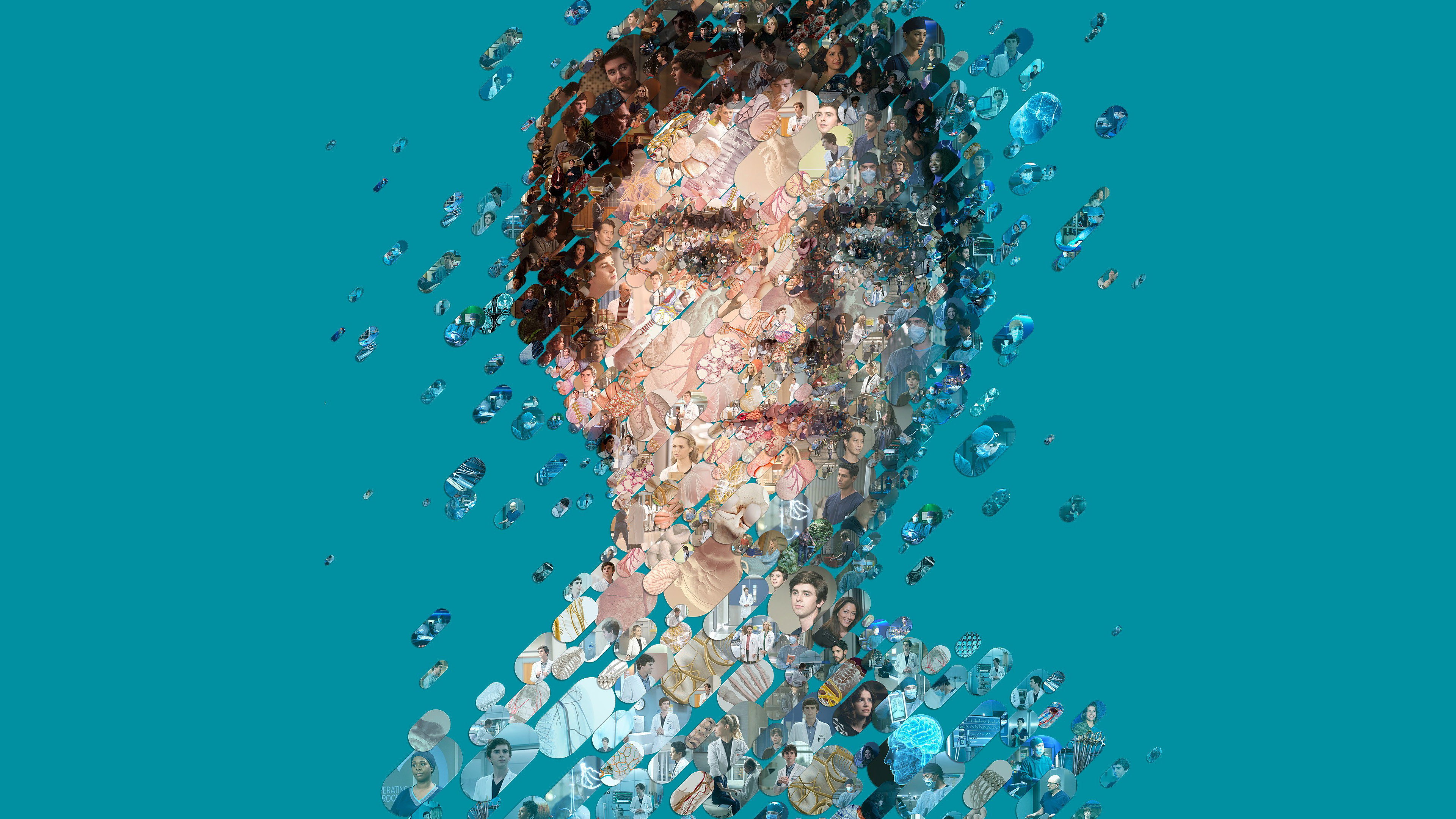 The Good Doctor's poster