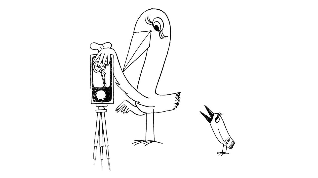 Strange Birds's poster