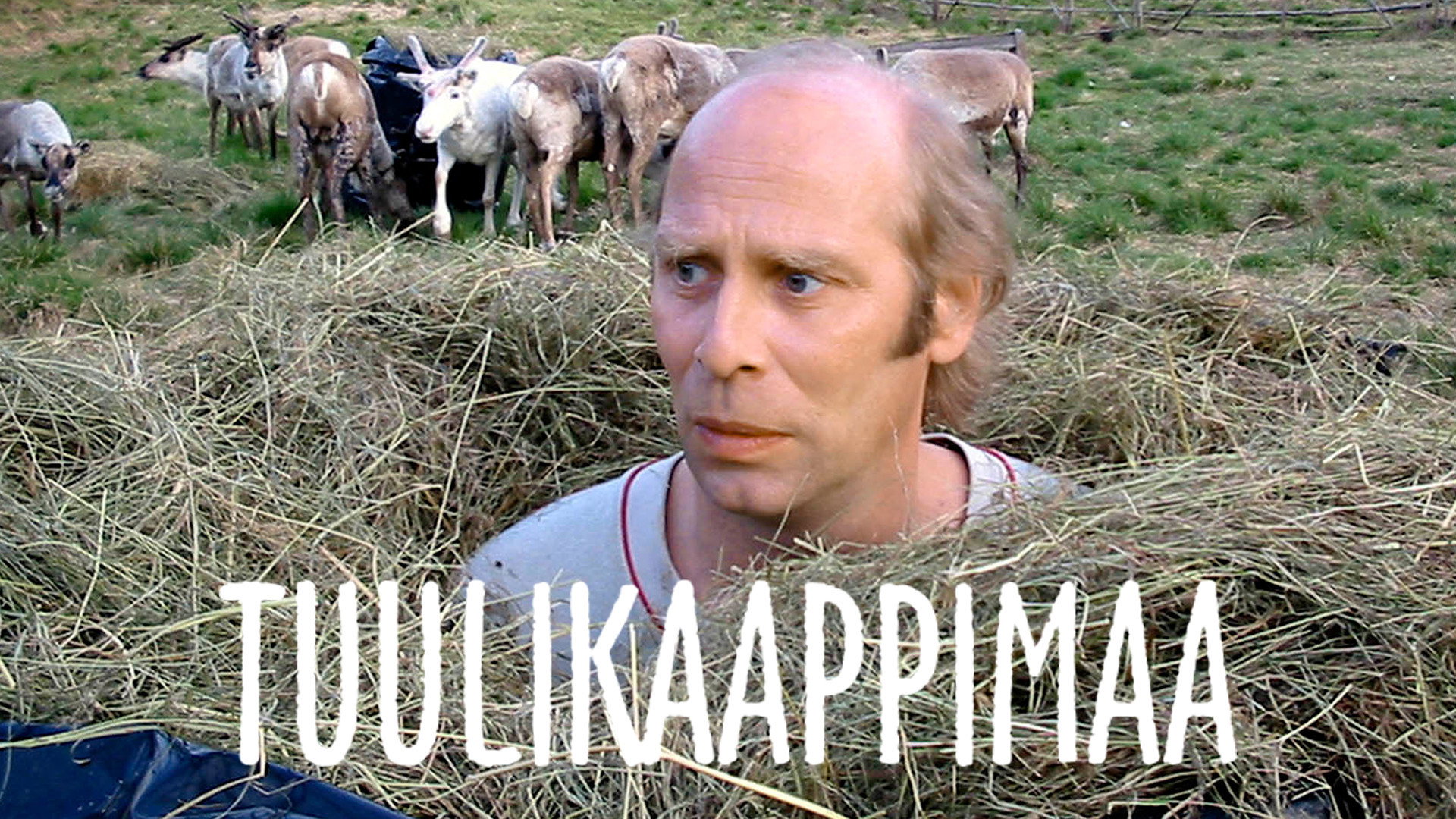 Tuulikaappimaa's poster
