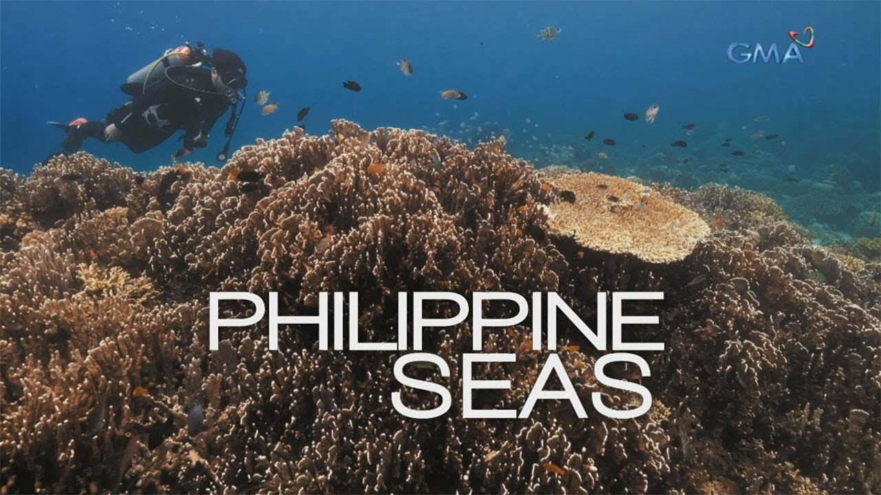Philippine Seas's poster
