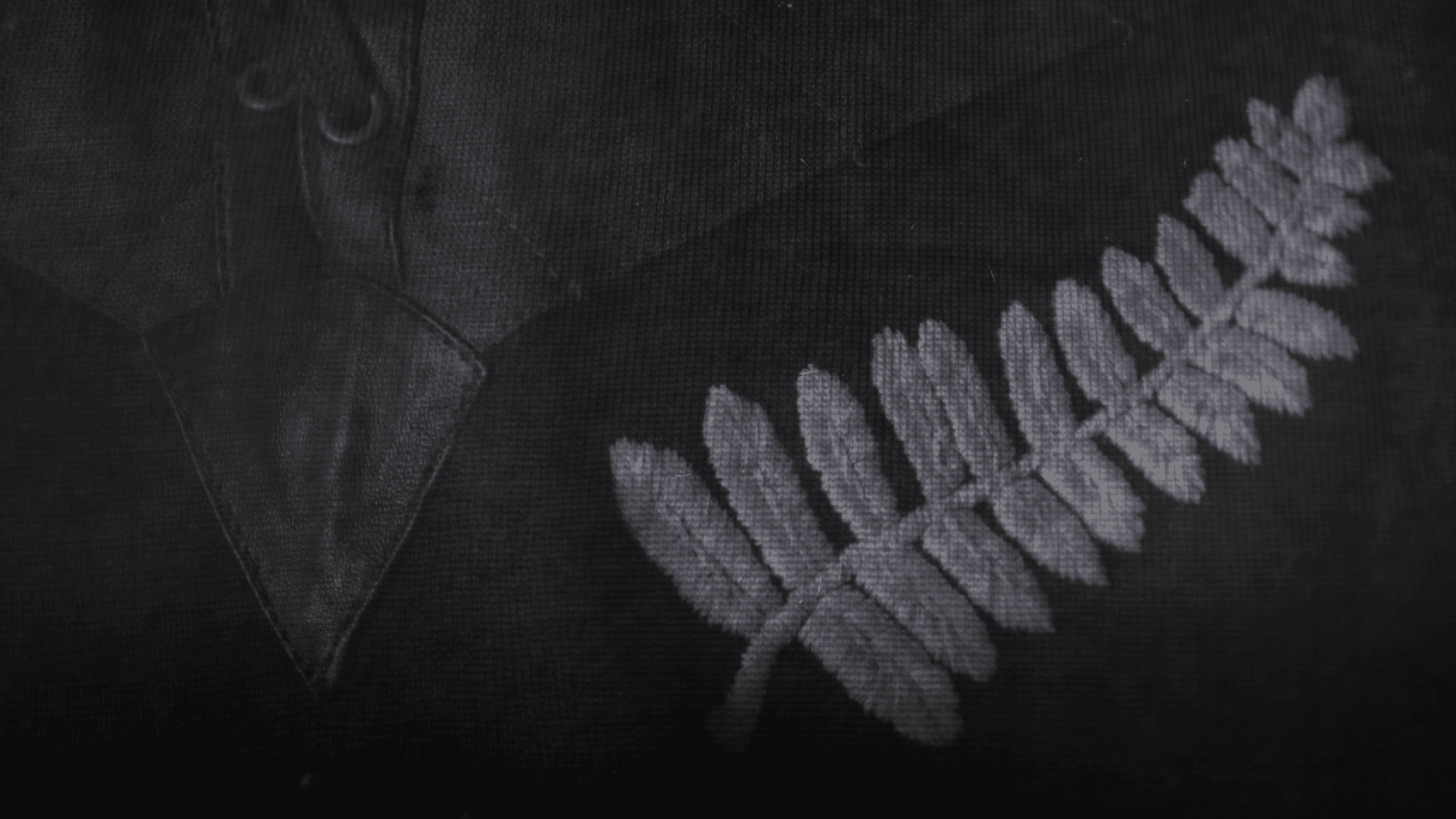All Blacks at War's poster