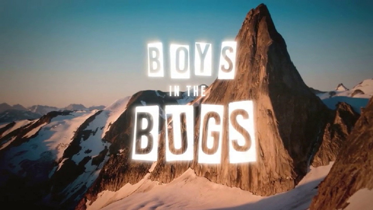 Boys In The Bugs's poster