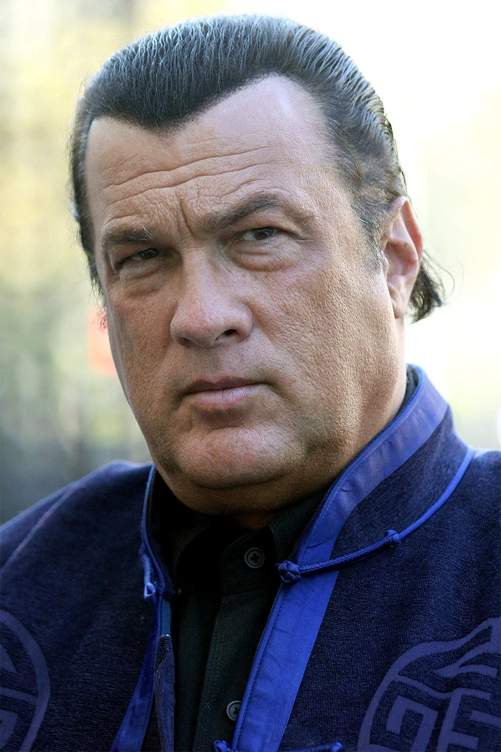 Steven Seagal's poster