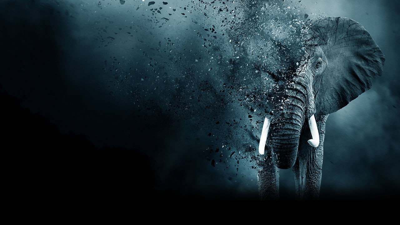 The Ivory Game's poster