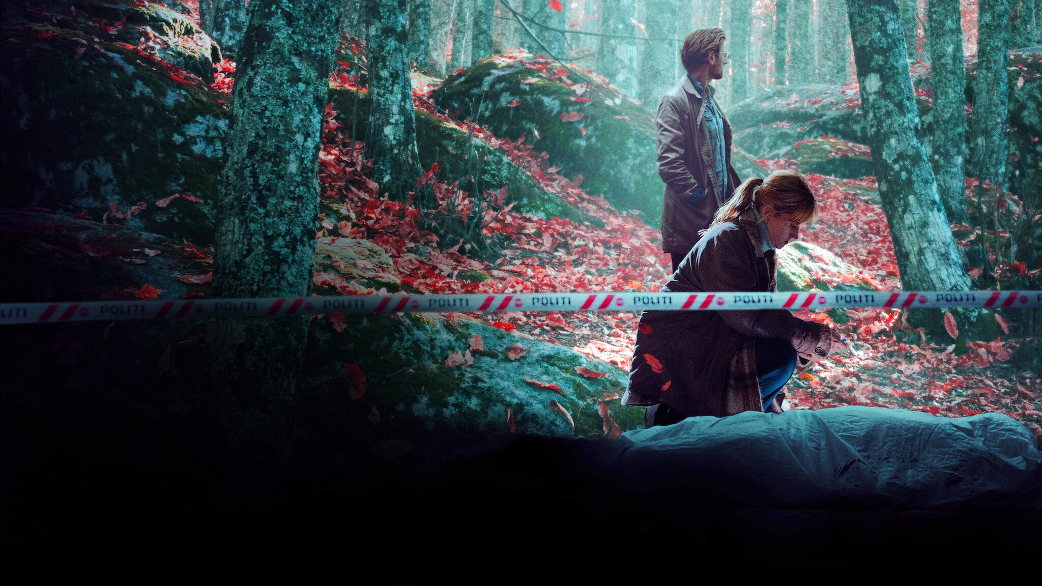 The Chestnut Man's poster