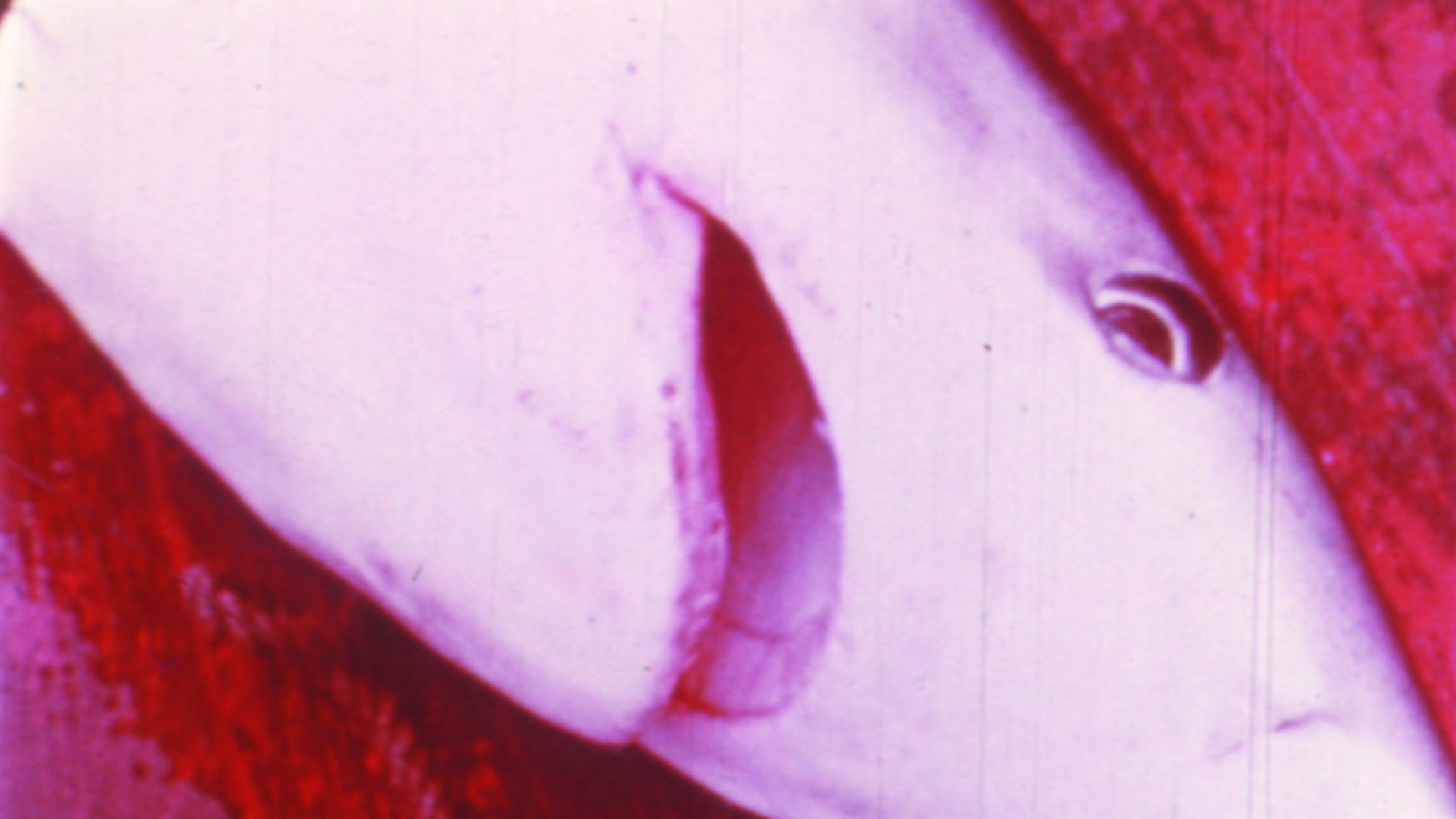 Fluke's poster