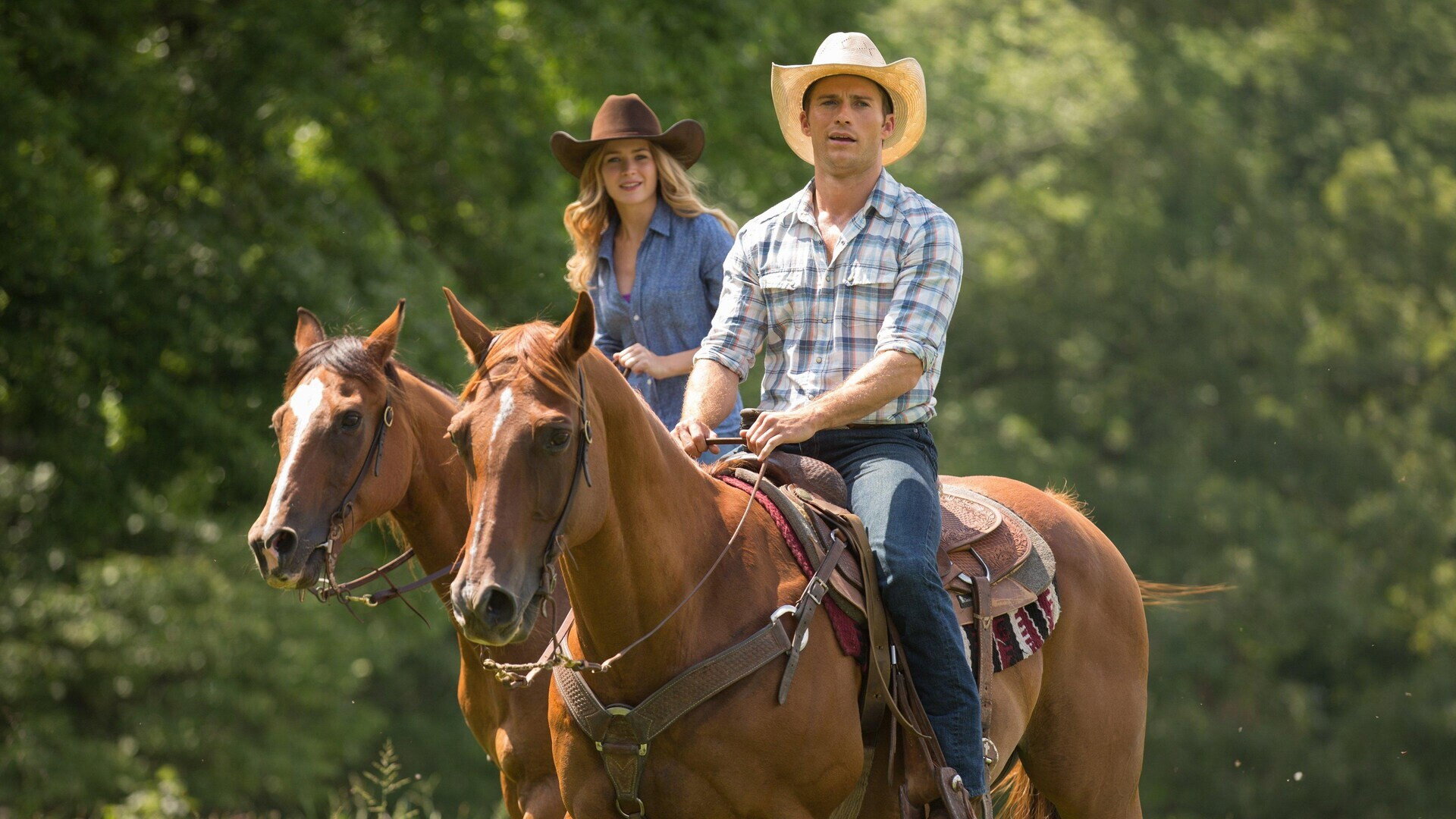 The Longest Ride's poster