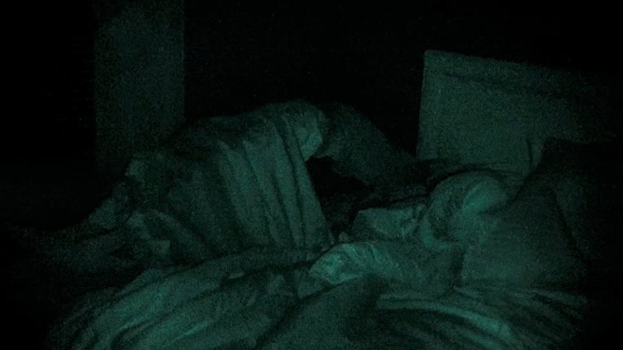 Real Paranormal Activity's poster
