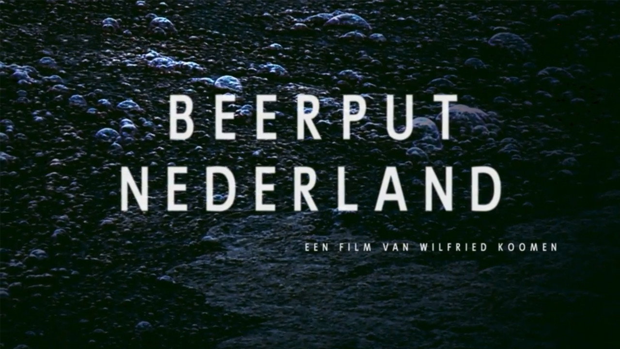 Beerput Nederland's poster
