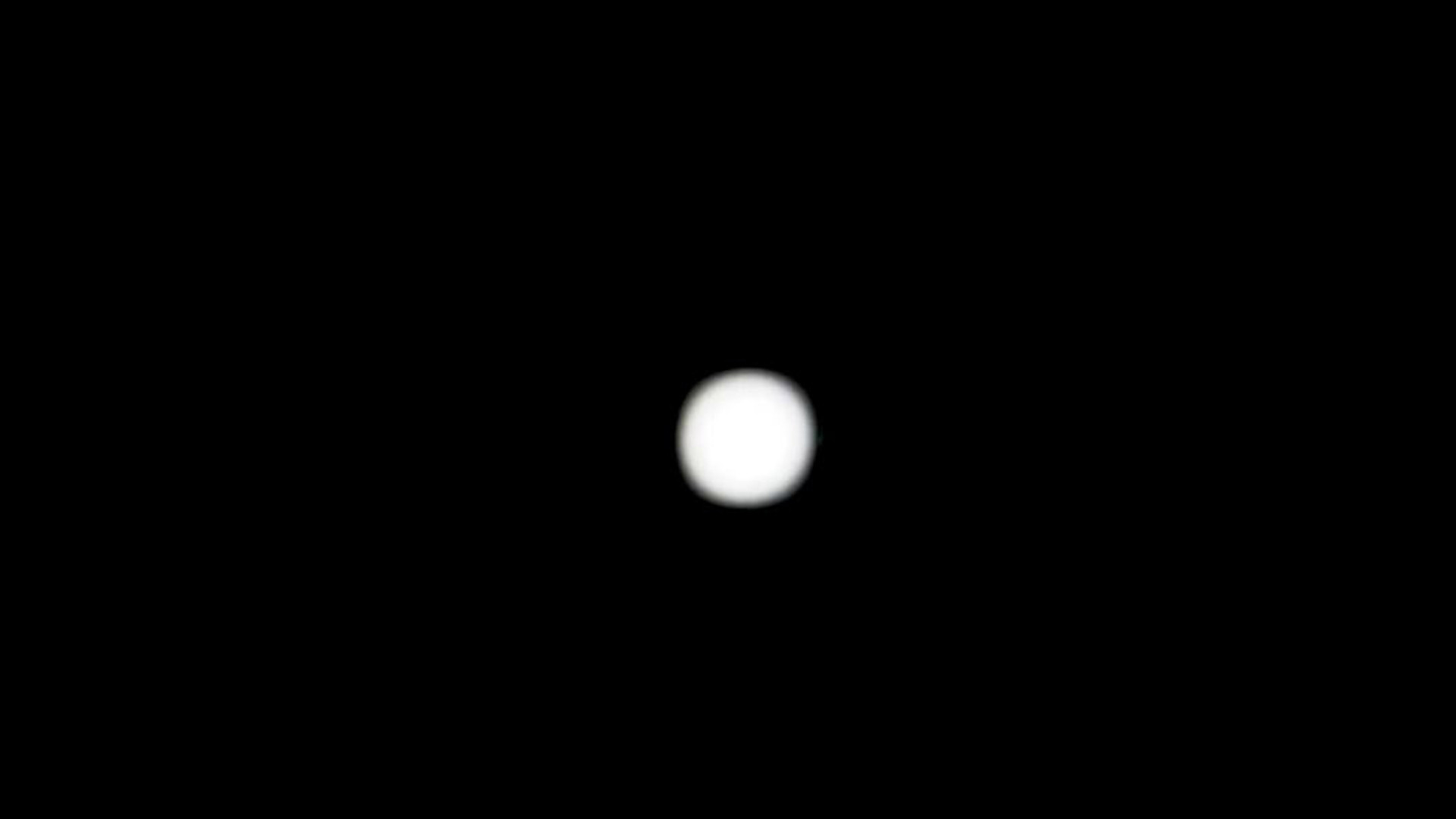 Pale Dot's poster