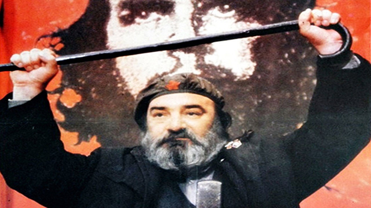 How I Was Systematically Destroyed by Idiots's poster