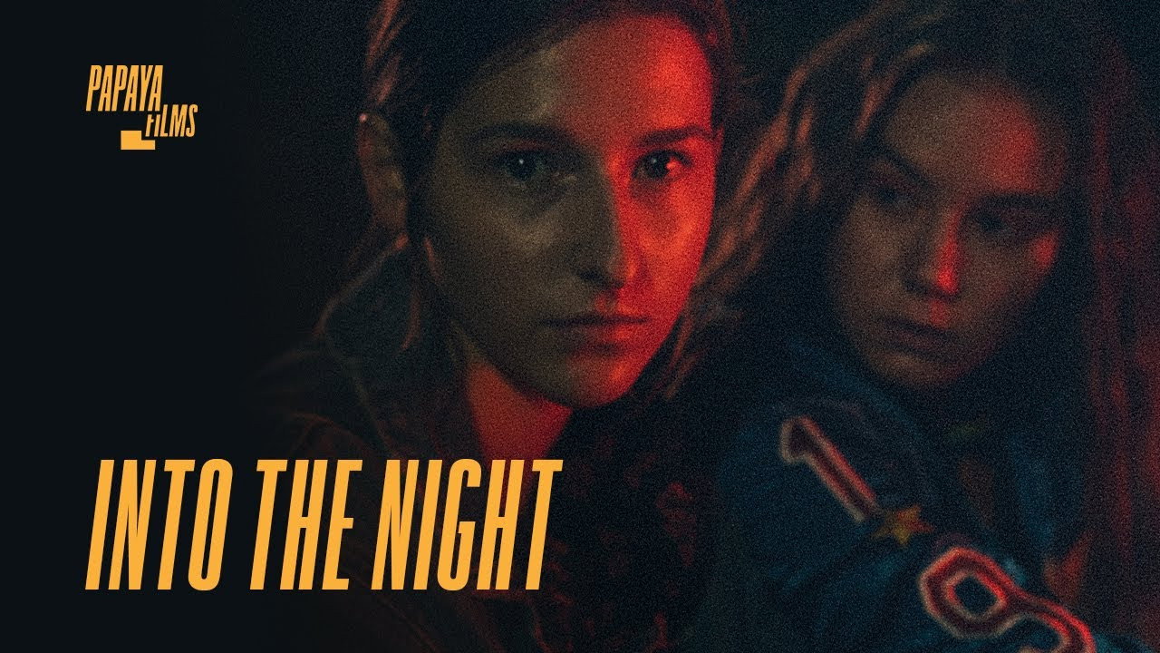 Into the Night's poster