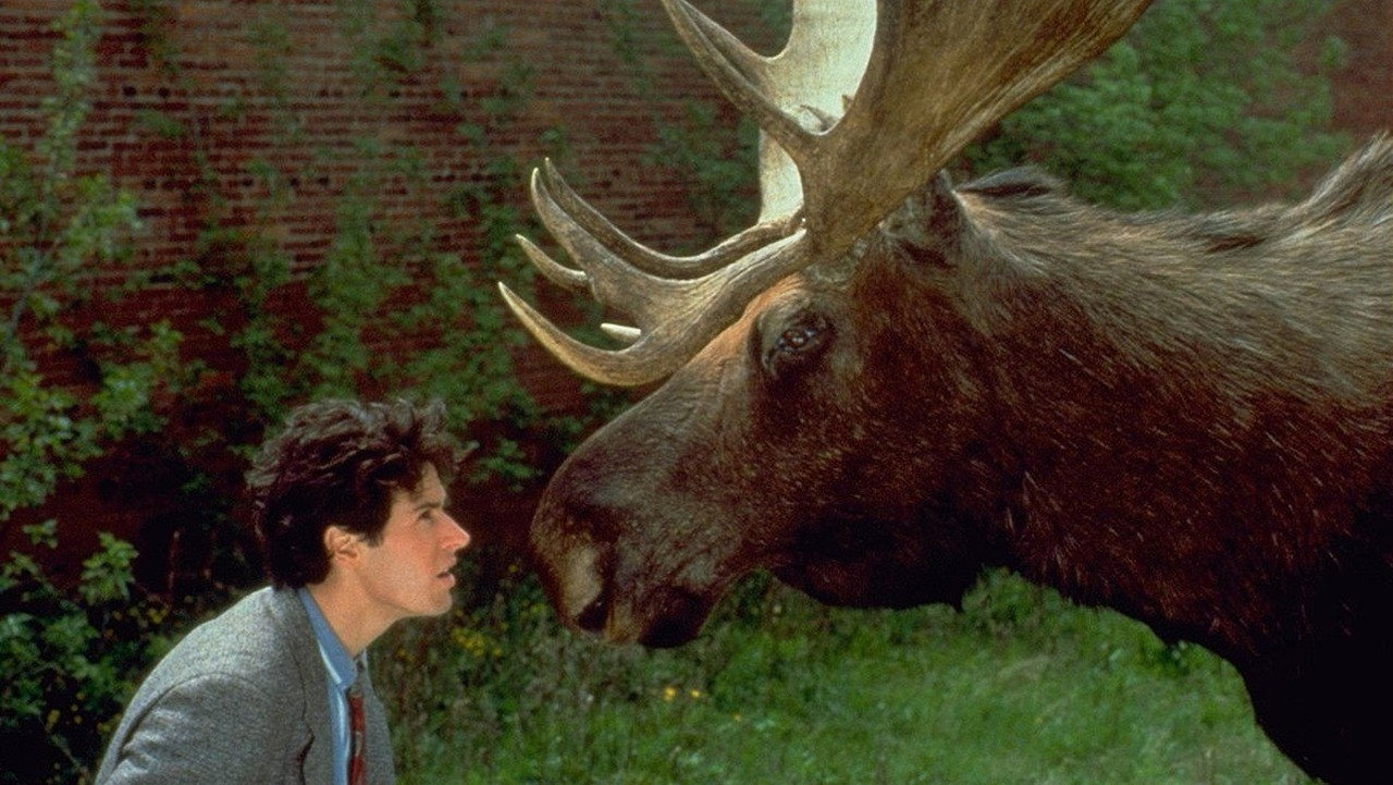 Northern Exposure's poster